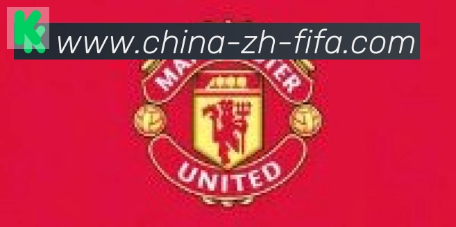 世界杯买球合作伙伴
